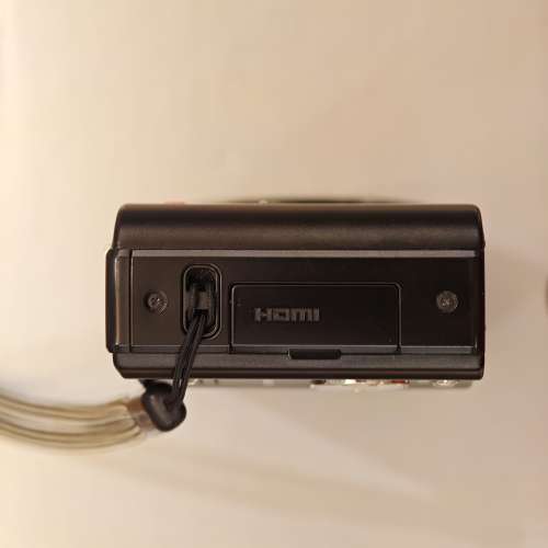 Leica V-Lux 30