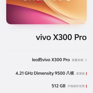 Vivo X300 Pro