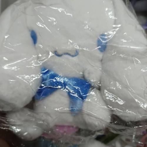 玉桂狗大耳狗