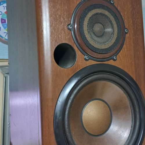 DIATONE DS-600ZX 一對