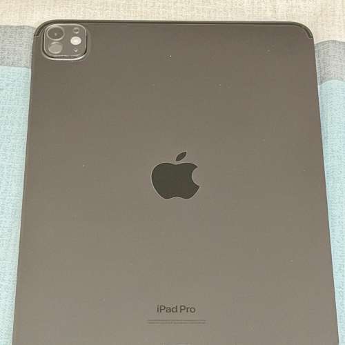 iPad Pro 11 M4 256GB WiFi Only 灰色 (95新)