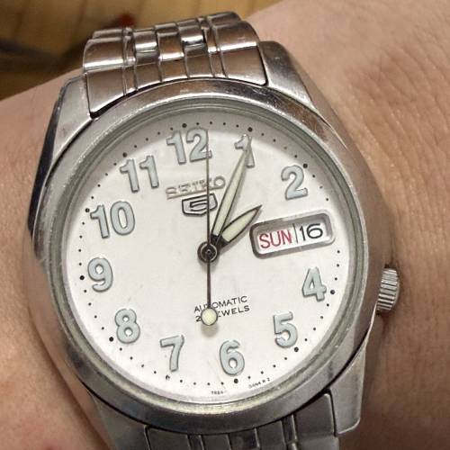 Seiko 5仔😆 $288