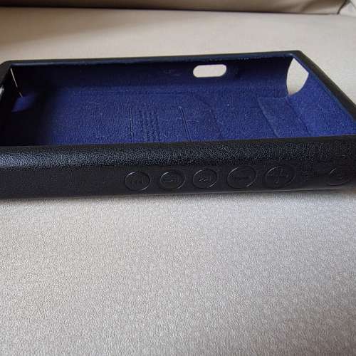Sony WM1Zm2 / WM1Am2 新金/新黑 Dignis 皮套