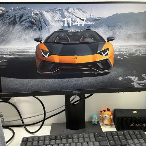 Dell Monitor 專業顯示器 (22&rdquo;) IPS Full-HD LED全高清 (可升降, 旋轉)
