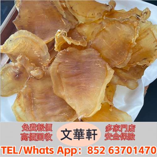 實體門市 免費上門報價：印尼白花膠，二代石肚赤嘴膠，馬來西亞柔肉鬥湖膠，印尼大...