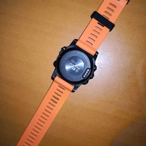 GARMIN FLENIX 3英文版