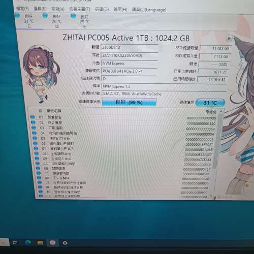 ZHITAI PC005 Active 1TB SSD