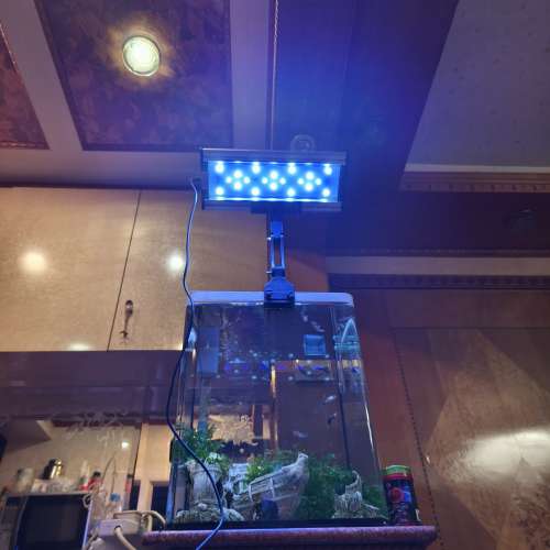 養魚缸燈