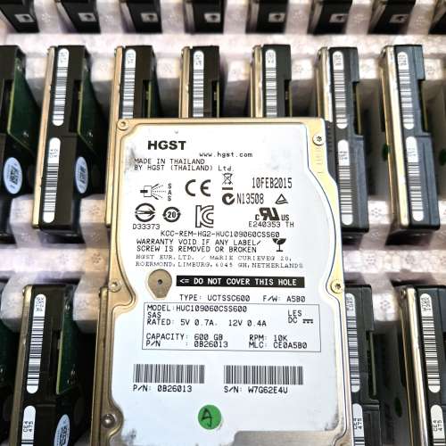 HGST 600GB SAS，$20/隻