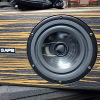 APS COAX studio monitor speaker 1pair