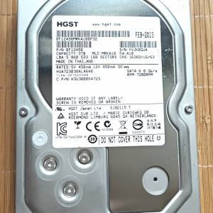 100%work HGST 3TB HDD