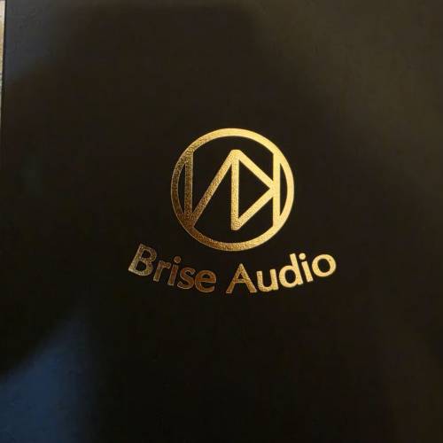 Brise Audio Yatono Ultimate 4wire 2pin 升級線