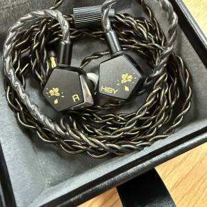 Hiby Project Ace JP 有單有盒有保