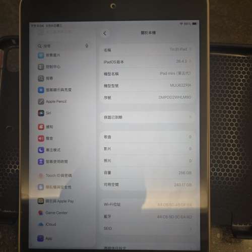 Ipad mini 5 256G