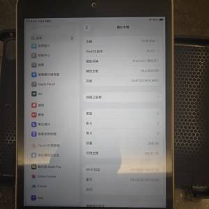 Ipad mini 5 256G
