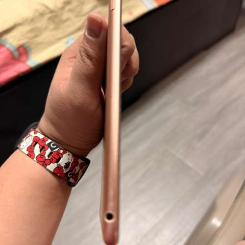 Ipad mini 5 256G