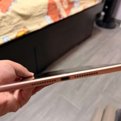 Ipad mini 5 256G