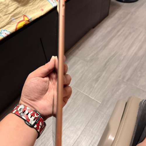 Ipad mini 5 256G