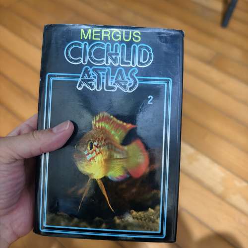 南美短鯛教科書