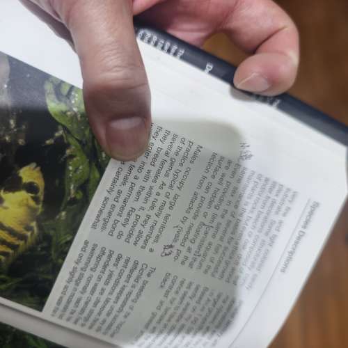 南美短鯛教科書