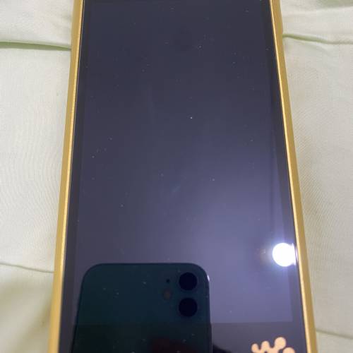 sony wm1zm2 金二  可加錢換lotoo gt2