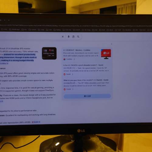 LG 29UM58-P Ultra Wide 顯示器