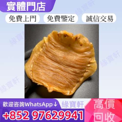 緣寶軒高價收購花膠 老花膠 赤嘴膠 金錢膠 筒膠 鰲魚膠 石肚赤嘴 厚肚膠 房膠 白花...