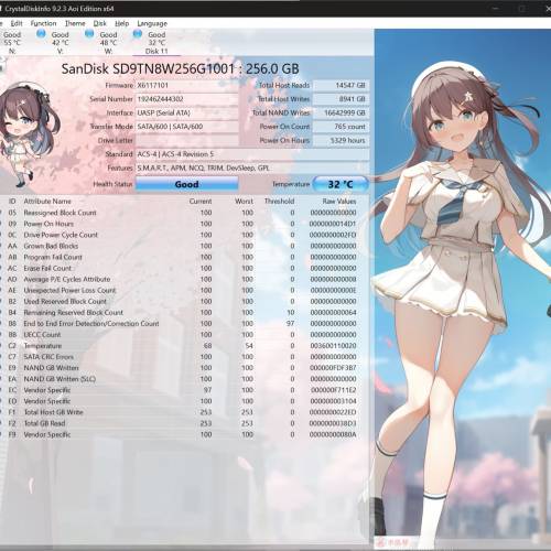 SanDisk X600 256GB m.2 SATA NGFF SSD