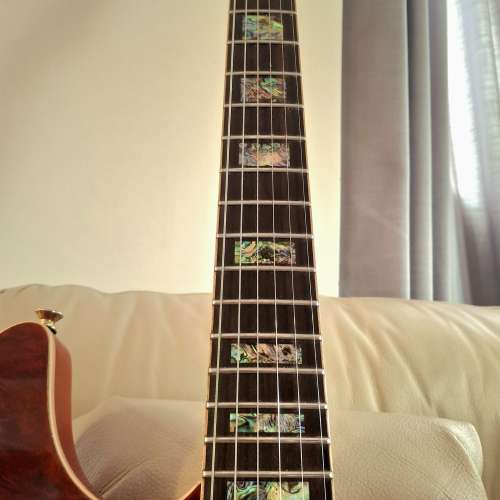 Dionysian Stratocaster Deluxe