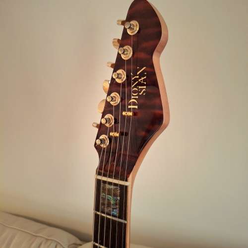 Dionysian Stratocaster Deluxe
