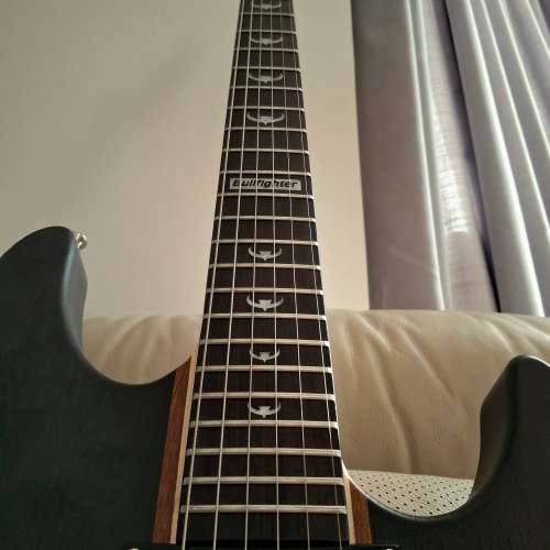 Bullfighter D300 Neck-thru Superstrat