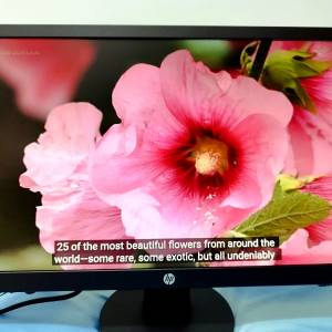 HP (惠普) V22 FHD Monitor液晶顯示器--21.5 吋顯示屏--全正常--LED 電腦Mon--港鐵...