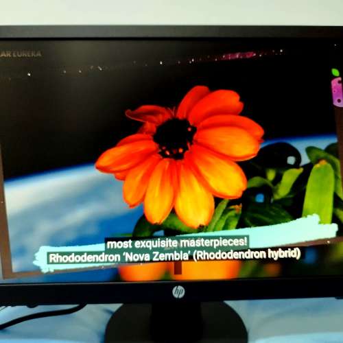 HP (惠普) V22 FHD Monitor液晶顯示器--21.5 吋顯示屏--全正常--LED 電腦Mon--港鐵...