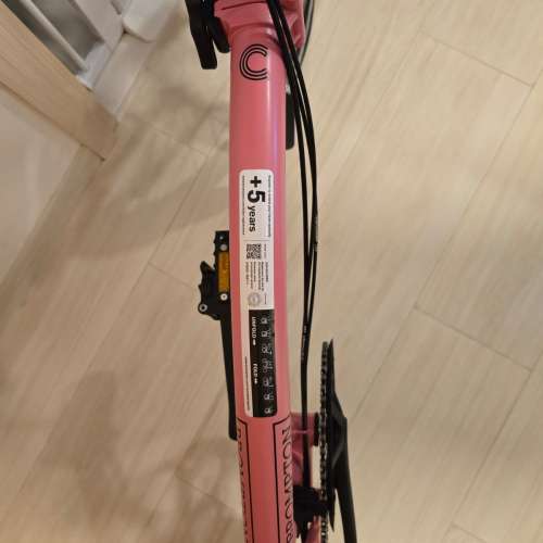BROMPTON C Line EXPLORE (MLL 12S) 12速 Flamingo Pink 粉紅色摺疊單車