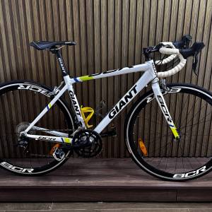 GIANT SCR 公路車
