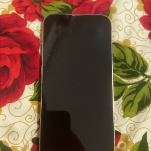 iphone 13 pro 256GB 港版好新淨