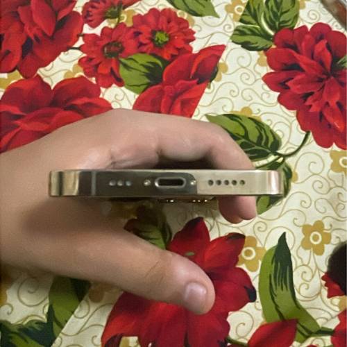 iphone 13 pro 256GB 港版好新淨