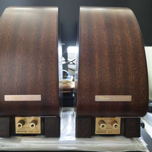 Onkyo 結他喇叭 D-TK10