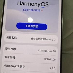 華為P80