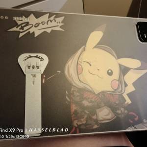 小米平版6 行貨 256GB 金