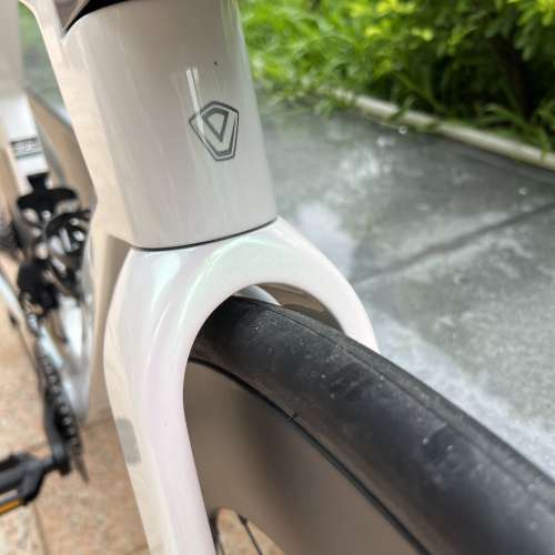 白色 M碼 2026 JAVA VEGA TT  電變24速 桶軸油剎 碳纖維公路車 送水架前後蛙燈