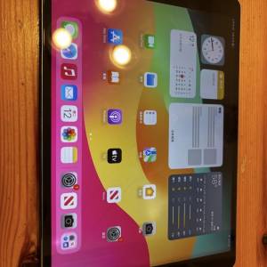 Apple iPad Pro WIFI + LTE