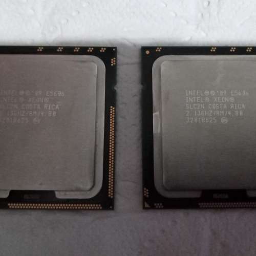 2粒Intel Xeon E5606 CPU only 和 6條2GB DDR3L ECC Registered RAM