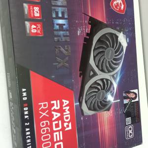 MSI AMD Radeon RX 6600 XT MECH 2X