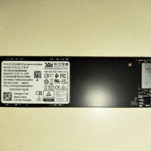 長江存儲 PC41Q 1TB SSD