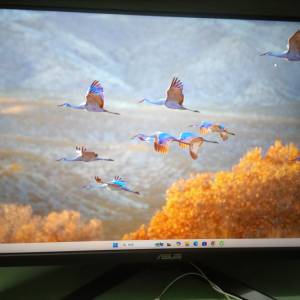 電競螢幕 華碩 VG249QM5A 240hz FHD IPS 24" monitor 保養期至 2029 年5 月