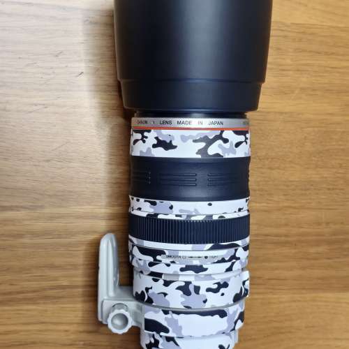 Canon EF 100-400mm f/4.5-5.6L IS USM 鏡頭