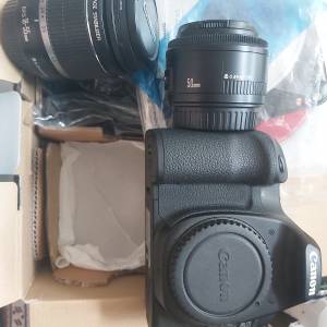 Canon EOS 40D連鏡