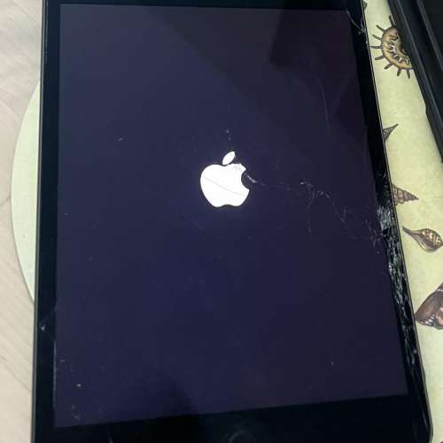 iPad Mini 5 64GB 玻璃爆裂 零件機出售 (請看清內文) HK$128.00