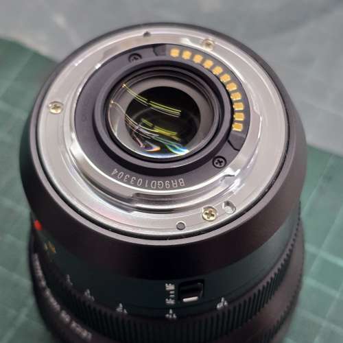 極新 M43 LEICA DG Vario-Elmarit 8-18mm F2.8-4